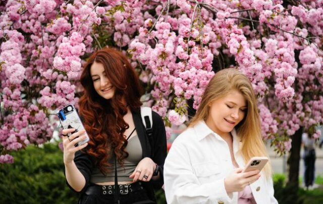 _telefon_kviti_sakura_lviv_gettyimages_1252153870_3811535bd794392bb4fb851a68eee222_650x410