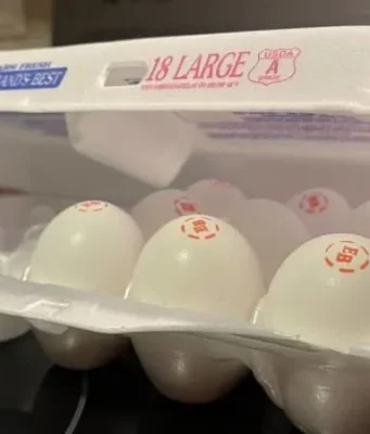 Колорадо намерено профинансировать продуктовые банки в условиях продолжающегося shutdown