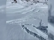 В Колорадо зафиксирована первая лавина, вызванная лыжником, в этом сезоне