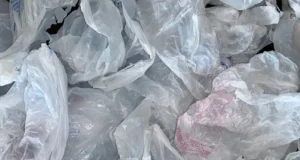 Попытка запрета пластиковых пакетов в Нью-Гэмпшире застряла из-за партийной линии