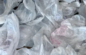 Попытка запрета пластиковых пакетов в Нью-Гэмпшире застряла из-за партийной линии