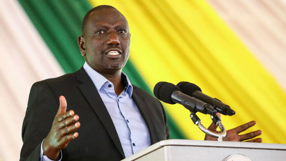 pic1cc655bb608346cc667c367eefdd2a35