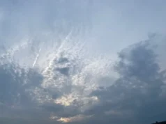 Спокойное и мягкое начало недели