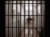 Четвертой заключенный умер в системе тюрем Массачусетса за месяц