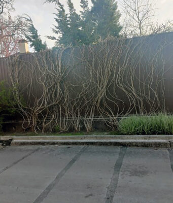 Two Zaporizhzhia residents sentenced to 11 years in prison for a robbery attack on a Dnipro resident