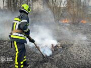 Fire broke out near the lake in Kyiv