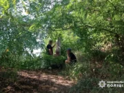 Knife Strike in Korsun-Shevchenkivskyi: Resuscitation for the Victim