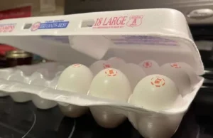 Колорадо рассматривает финансирование продуктовых банков на фоне продолжающейся приостановки работы