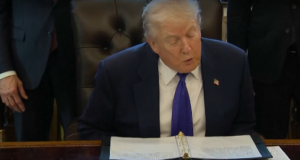 Администрация Трампа создаст стратегический резерв для редкоземельных элементов