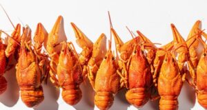 Как заказать вкусных раков с доставкой