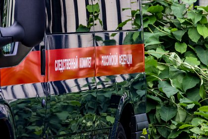 Одна из школьниц, убивших 12‑летнего ребёнка, издевалась над животными и потрошила игрушки