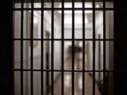 Четвертый заключенный умер в тюрьмах Массачусетса за месяц
