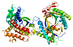 261c97e417e4e66b70f0cbe322fac74c2695d40a891f693b3e02dad59045e358.png