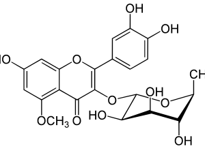 20524642b050177f13358ebc3b8ba3b0b3416a76252d7b9369c5fd63460c565a.png