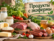 От фермы до стола — как доставляют продукты