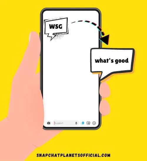 WSG Mean On Snapchat