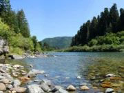 Токсичный секрет течёт по самым диким рекам Калифорнии