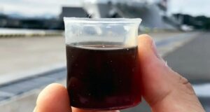 Создана водонепроницаемая замена одноразовому пластику на растительной основе