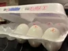 Колорадо ищет финансирование для продовольственных банков на фоне продолжающейся приостановки работы органов власти