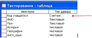 в чем состоит особенность поля счетчик