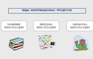 виды информационных процессов виды информационных процессов