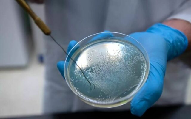 442429e268fa3d205719c78e1a36e2ed