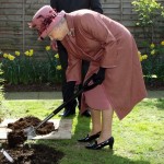 Britain's Queen Elizabeth II shovels ear