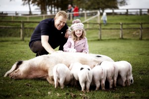 cotswold-farm-park-see-do-theme-parks-zoos-farms-aquariums-large