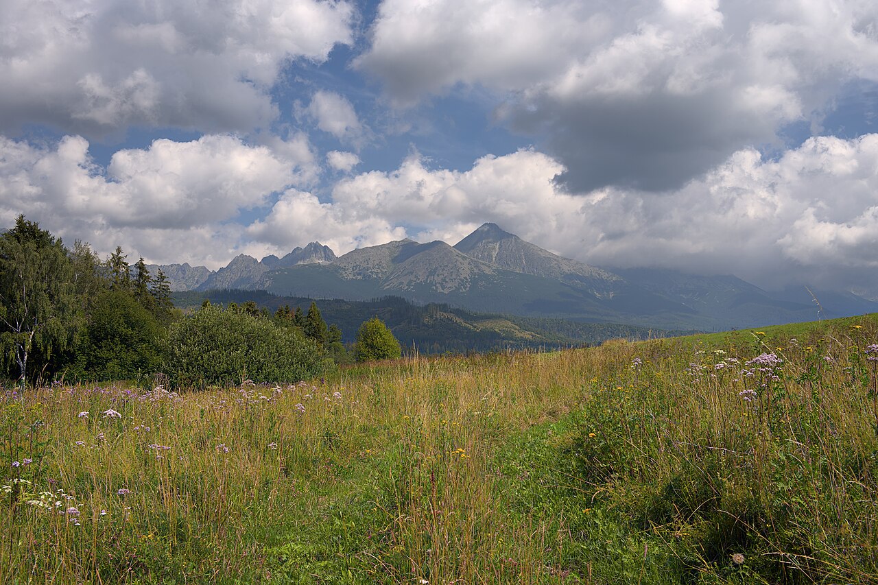 前景为野花、草甸、杂草，中景有树木，背景是高塔特拉山脉的山峰与云层。