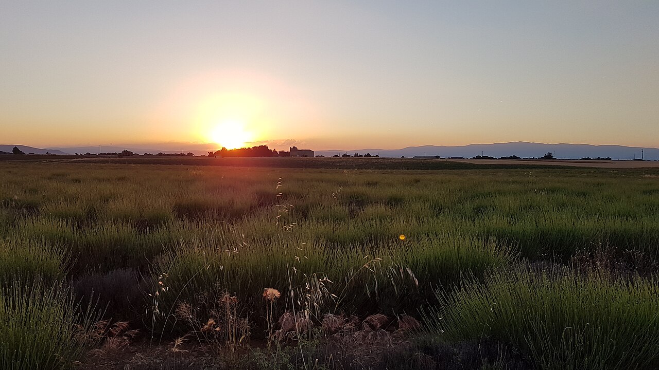 Sunset over the Valensole Plateau – the most photogenic moment before the day tour returns
