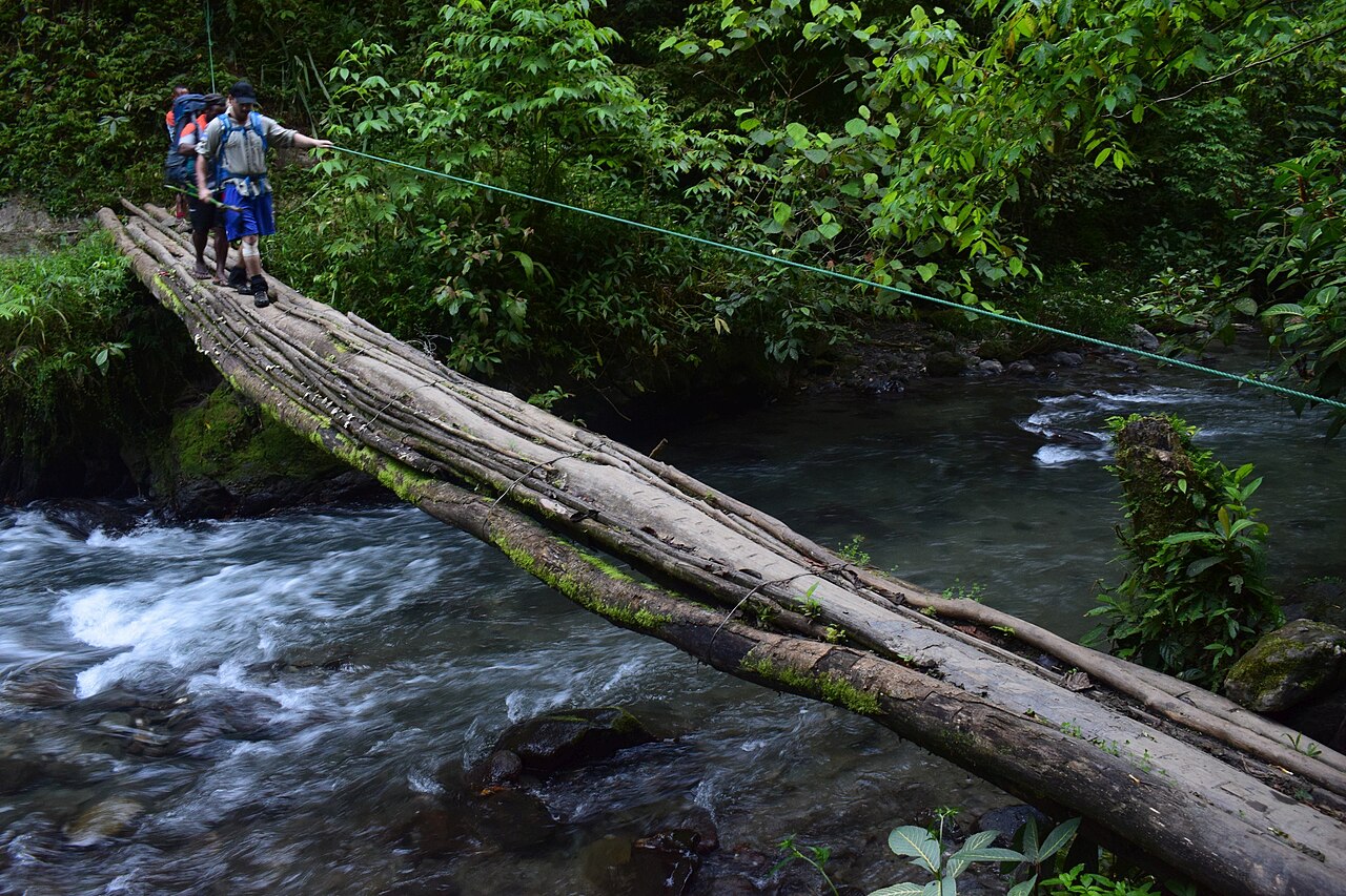 Trekkers crossing a creek bridge on the Kokoda Track
