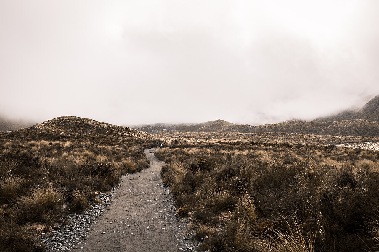 Tongariro Alpine Crossing track under low cloud