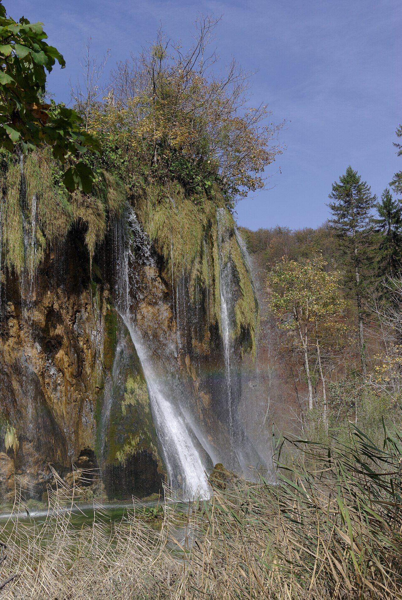 Autumn Plitvice Lakes limestone travertine waterfall, with golden vegetation hanging from the cliff face