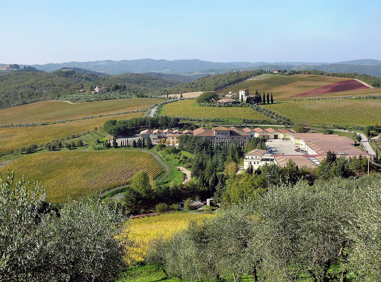 A winery farm deep in the Chianti hills—the farm cooking class is hidden in such slopes, with the last kilometer of navigation often on white gravel roads, which is why the 'with transfer' option exists.