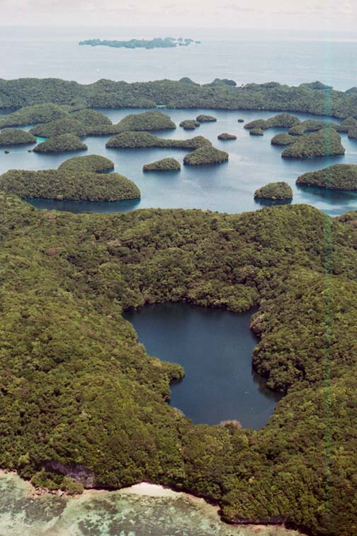 Aerial view of Jellyfish Lake inside Mecherchar