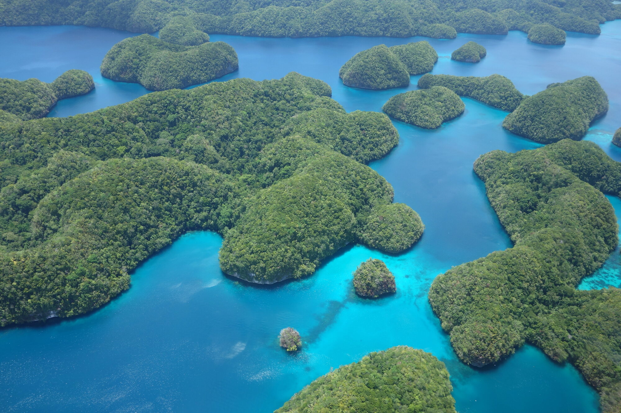 Aerial view of Palau Rock Islands lagoon