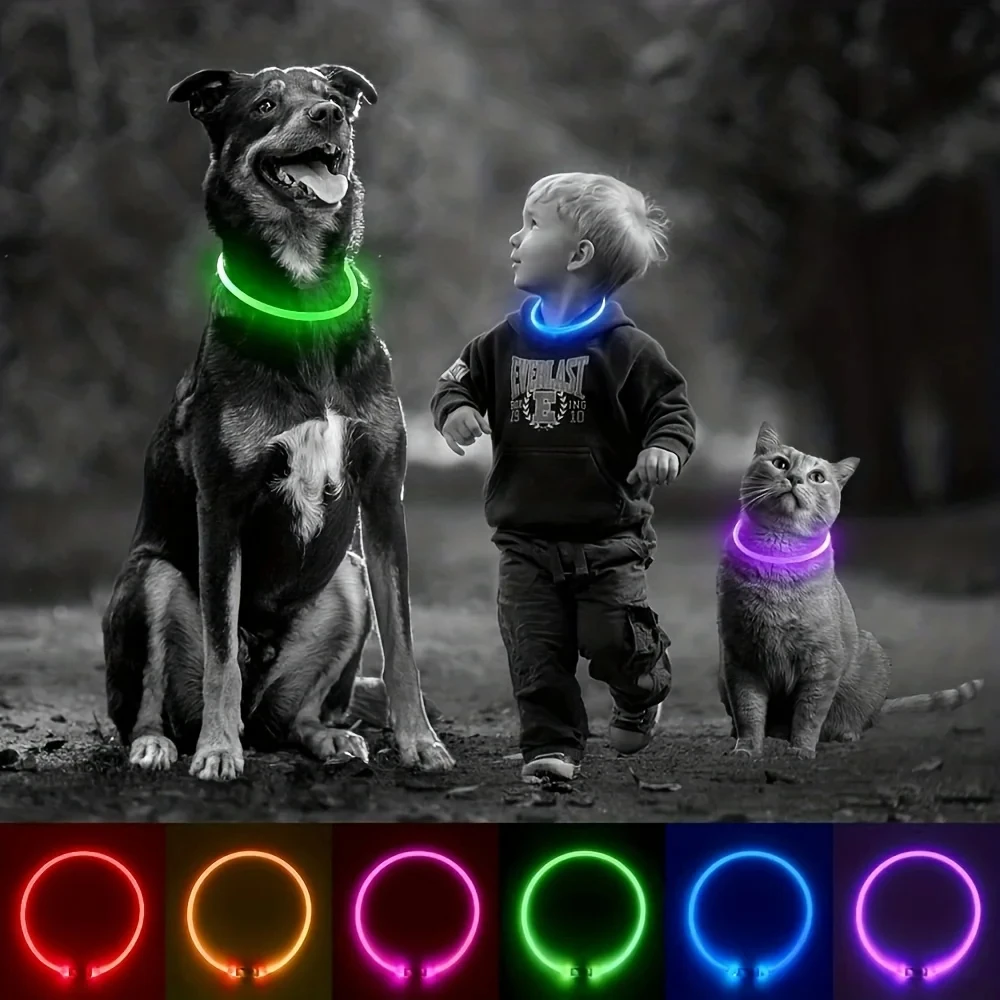 Pet Dog LED Light Collar Luminous Anti-Lost Dog Collar USB Rechargeable Dog Neck