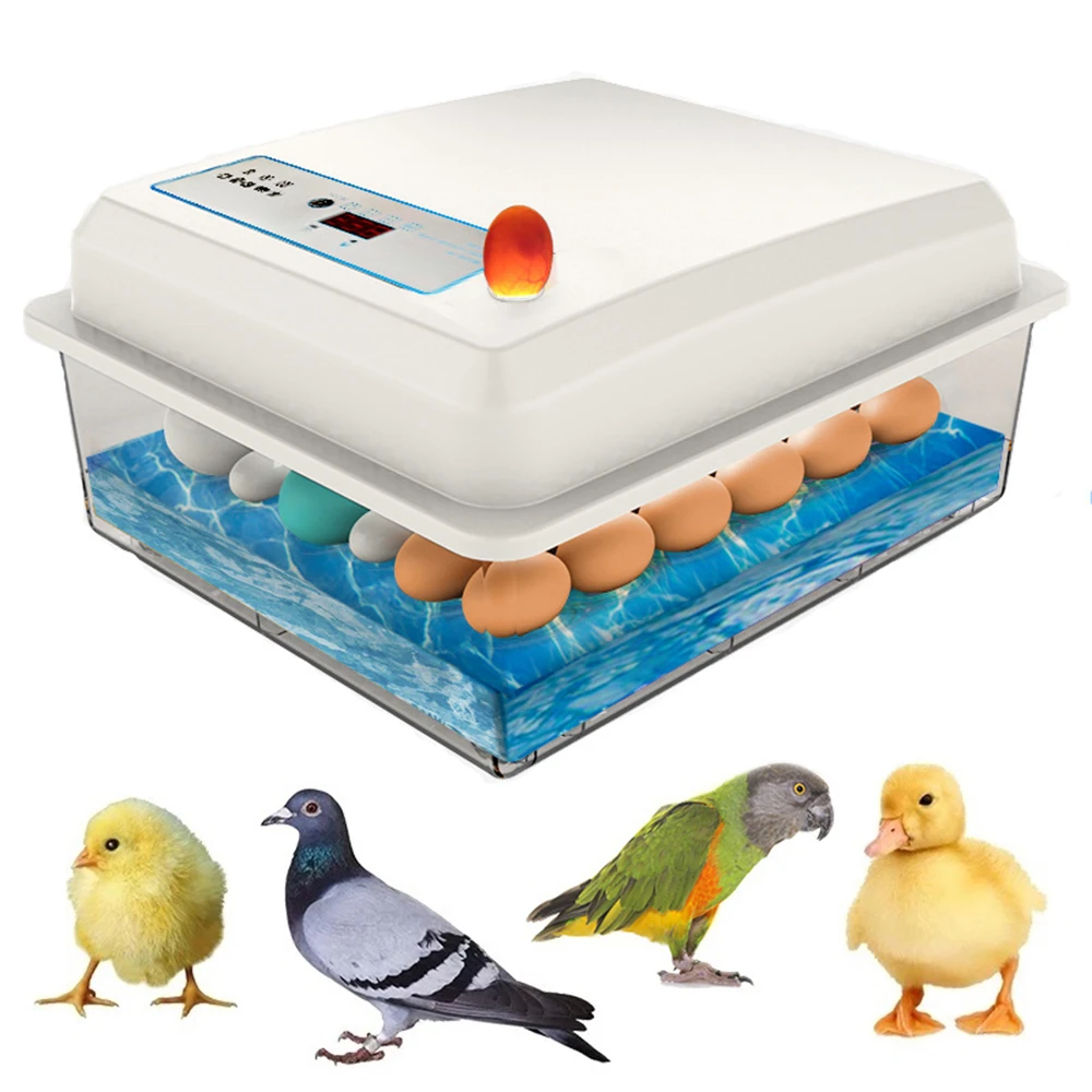 20 eggs incubator for Chicken Goose Bird Quail Automatic Incubation Equipment Hatchery Incubation Tools
