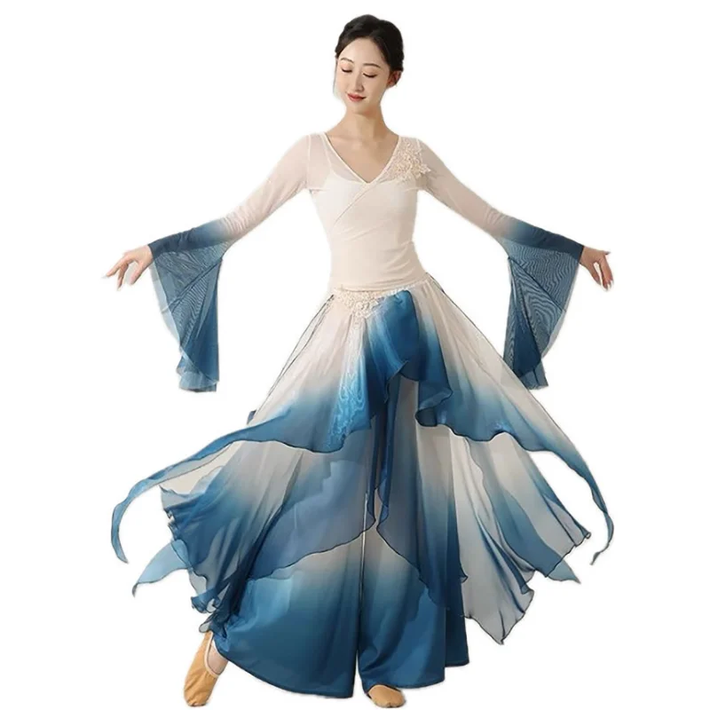 Classical dancer performance costumes women practice dance clothes butterfly sha