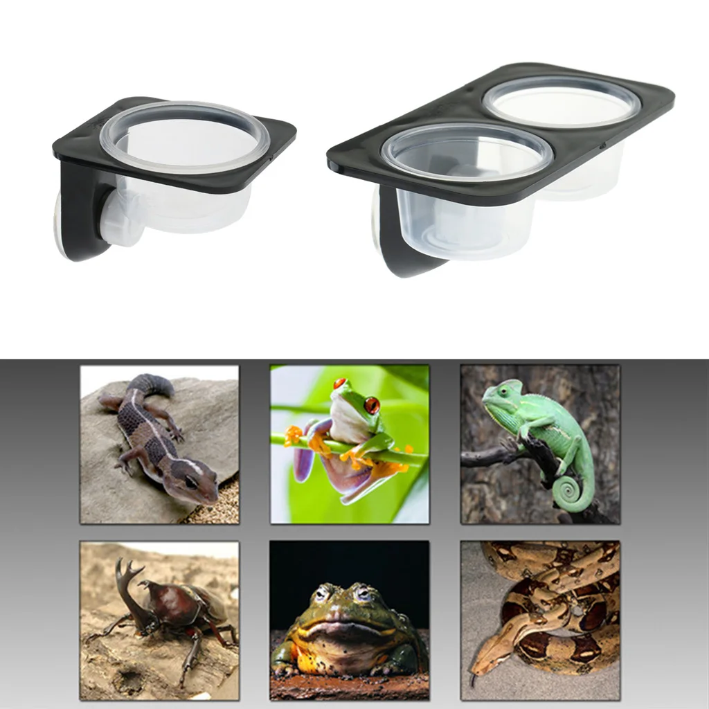 Reptiles & Amphibians Lizard Gecko Suction Cup Feed Bowls Food Container with Bo