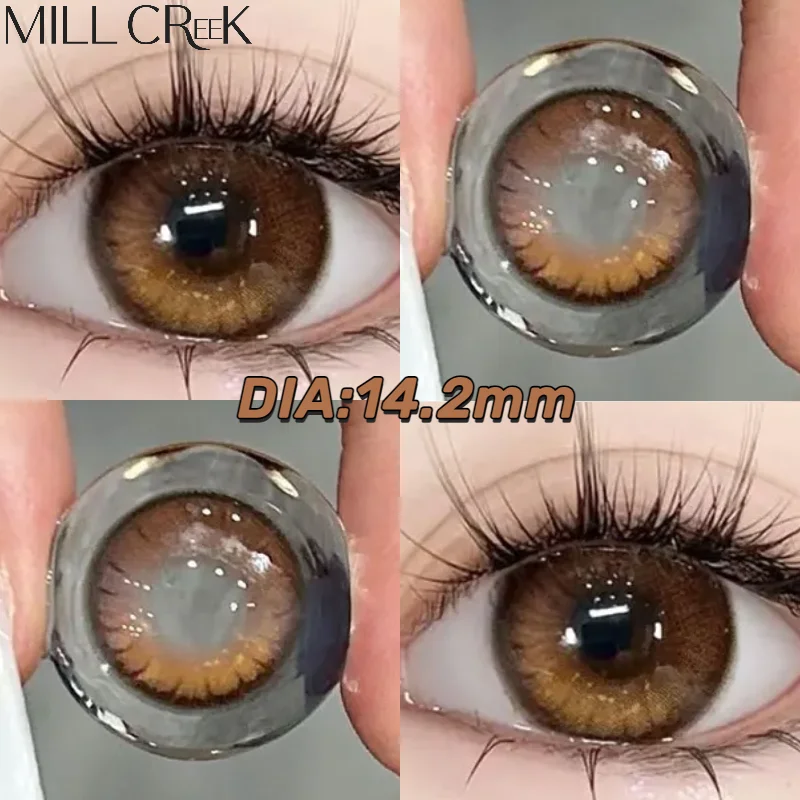 MILL CREEK Brown Contact Lenses with Prescription 2pcs Colorful Korean Fashion L
