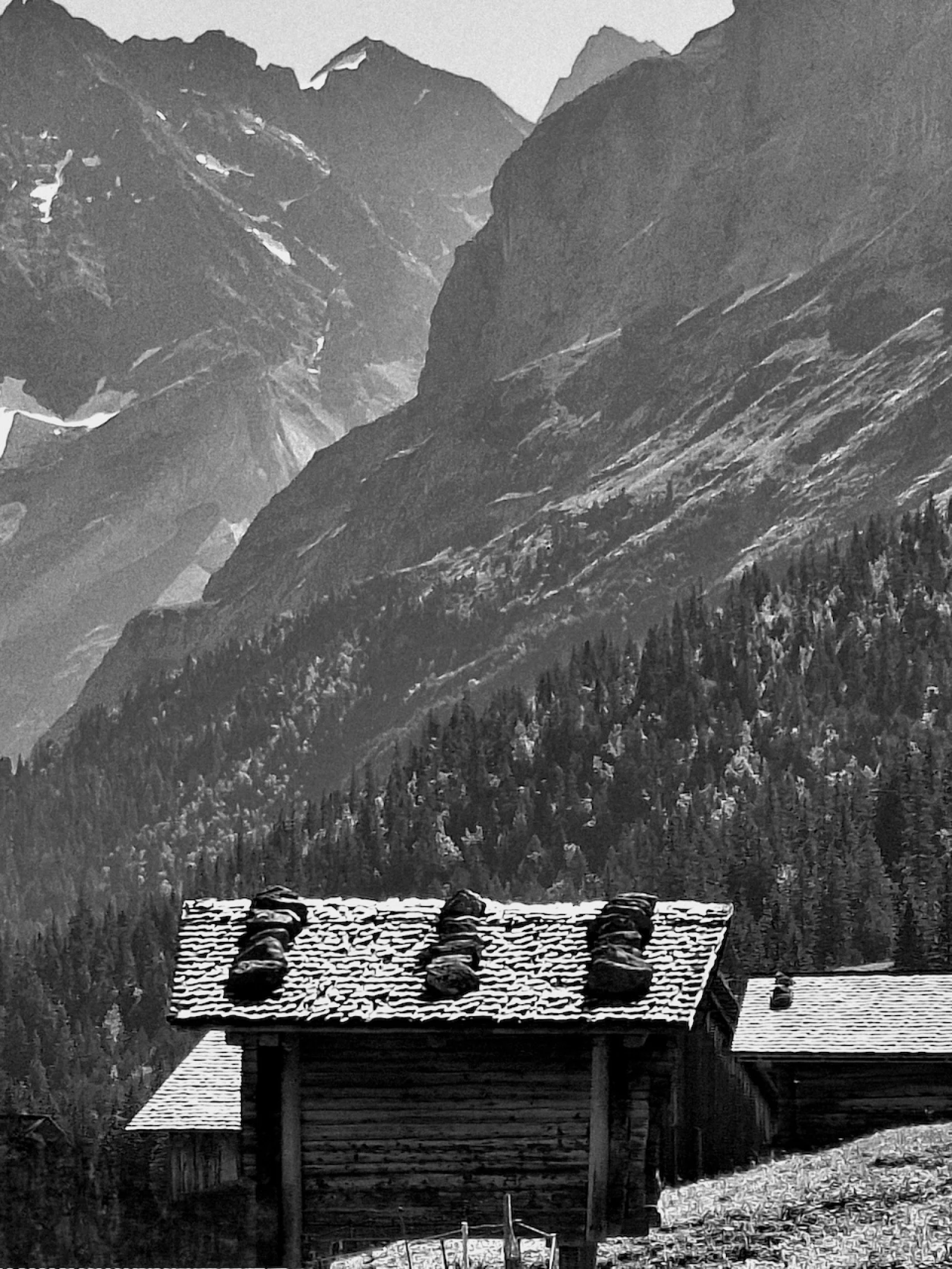 Above Grindelwald