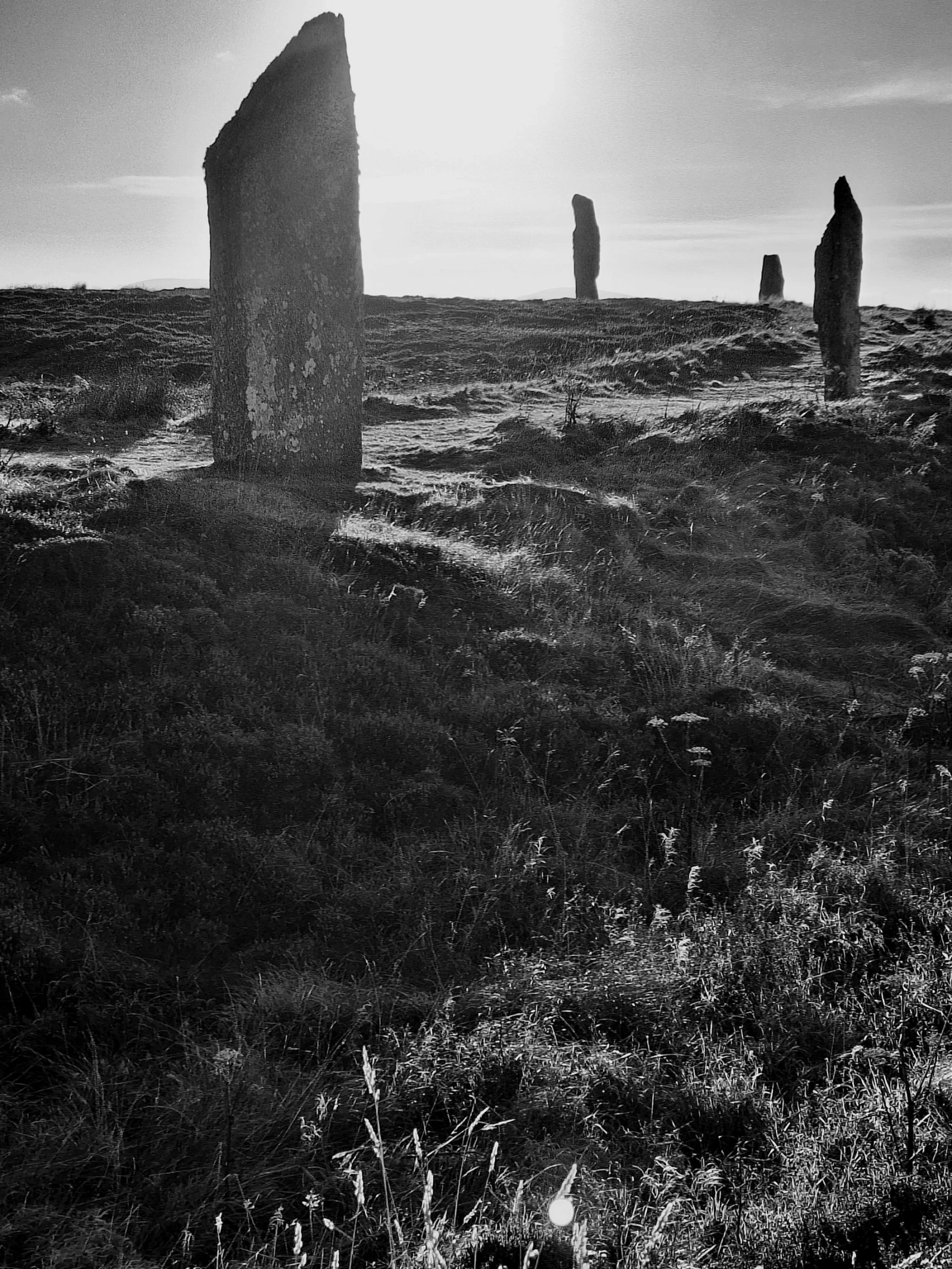 Orkney 3