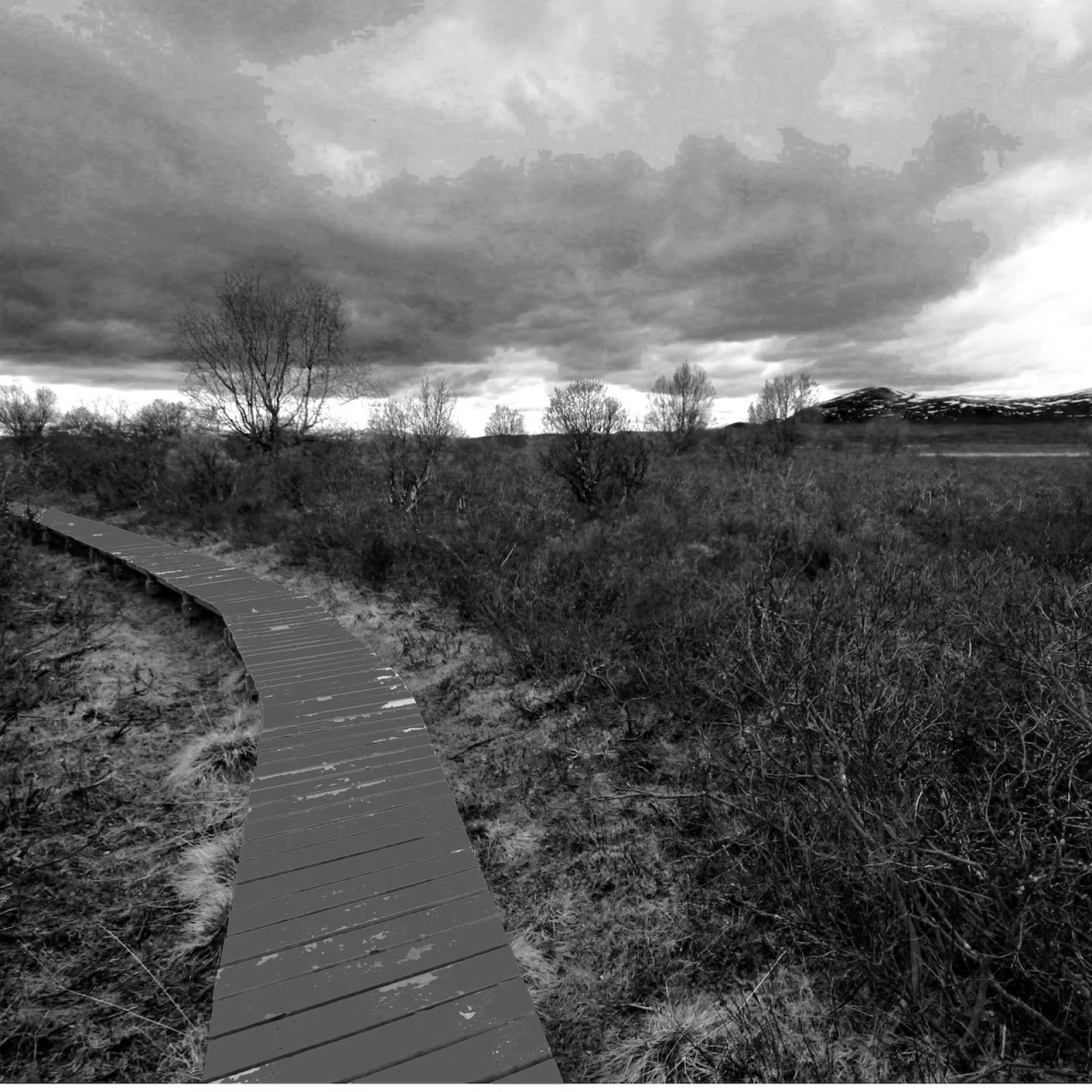 Boardwalk