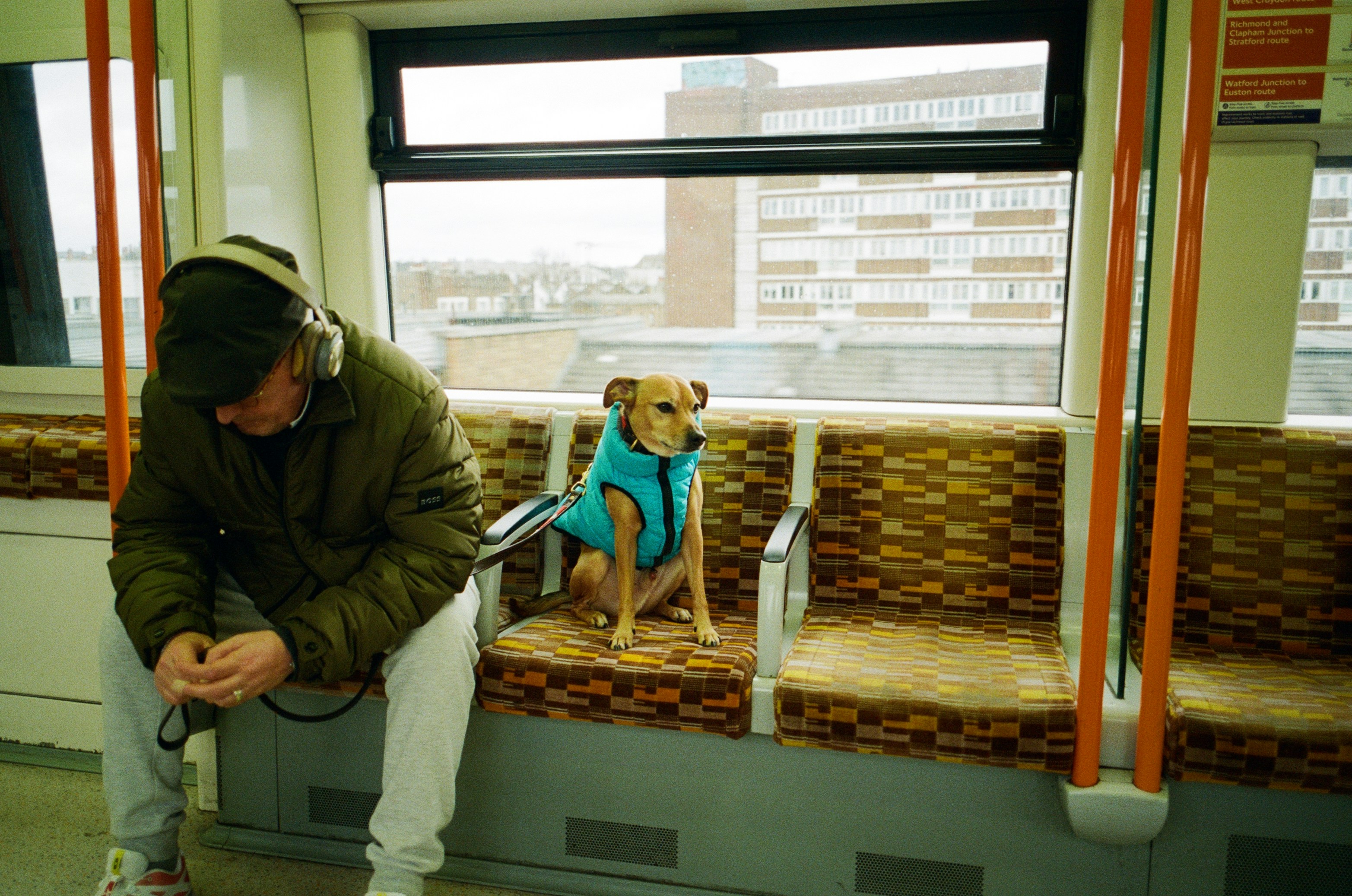 Man and dog on train Man and dog on train