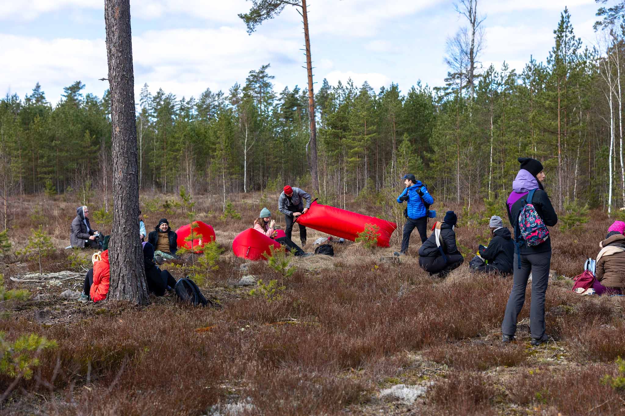 Forest picnic walk