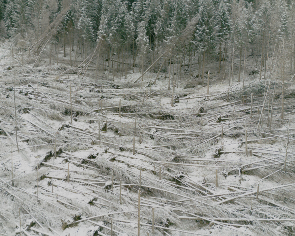 Alice Zorzin All Begins With The Rain Of Needles 1 1