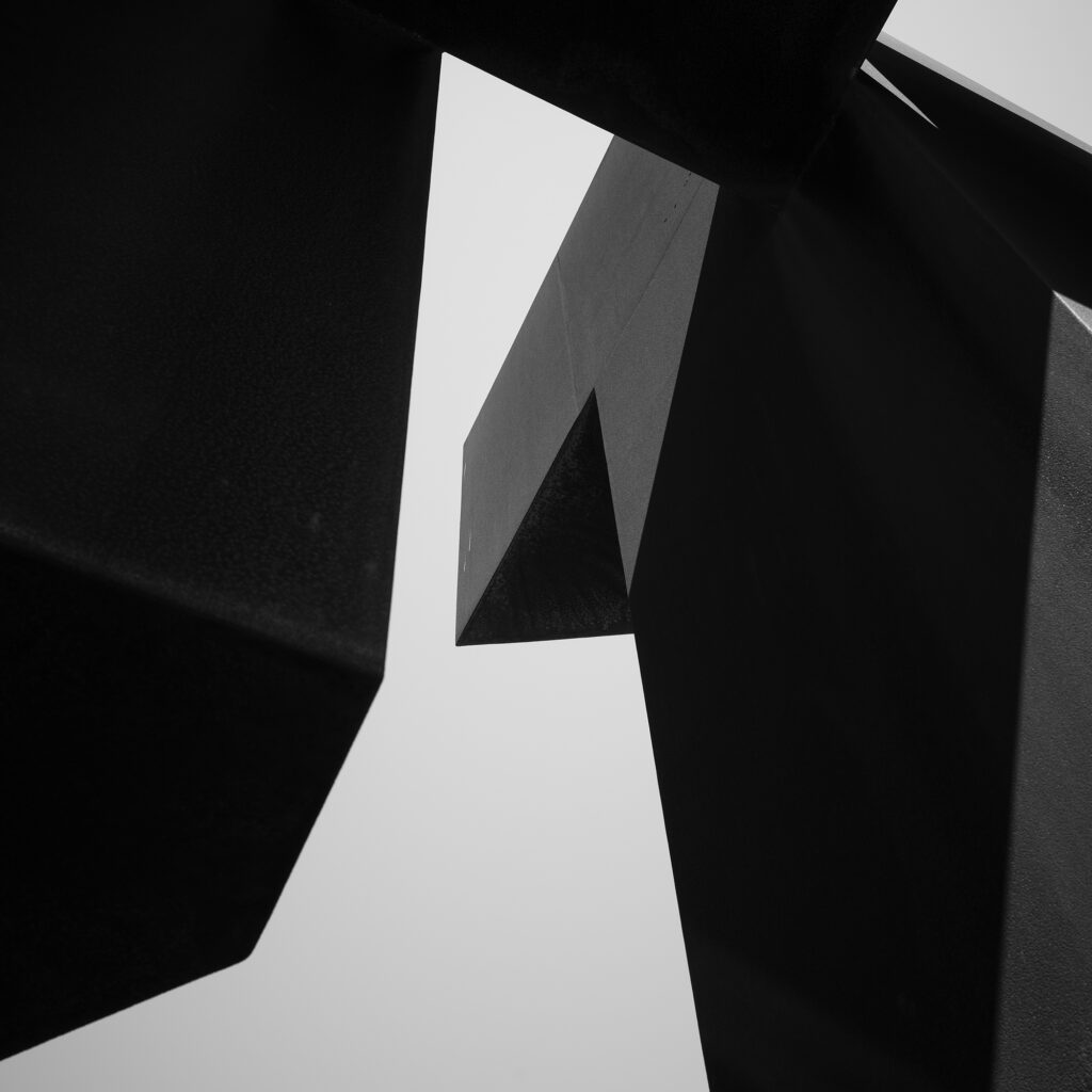 Rajan Milosevic Cekici 2