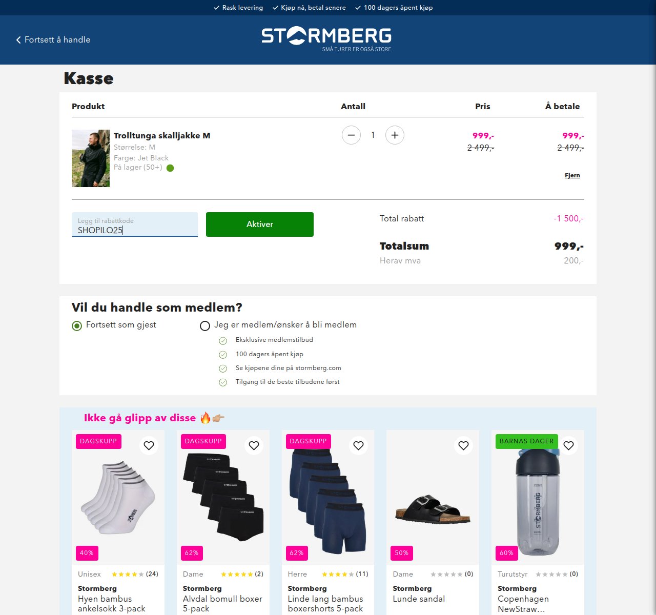 Where to enter the discount code on the Stormberg website