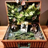 Magische Picknickmand
